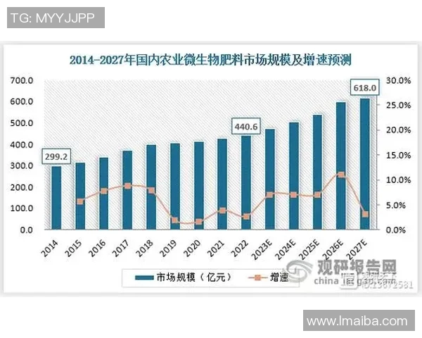 加维在国际舞台上的崛起与未来发展潜力分析